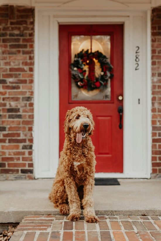 A GFD Homes composite door styled as a Christmas door — festive, secure, and insulated for the season